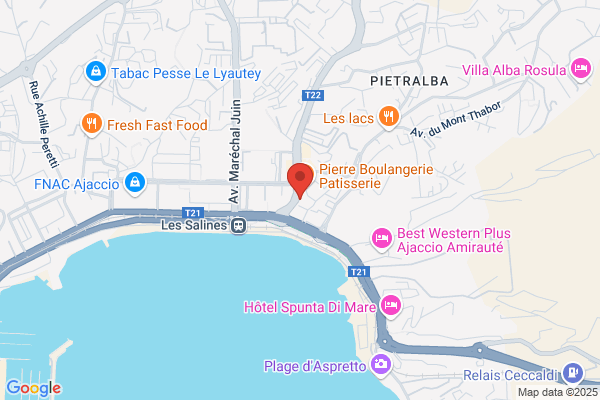 Gan Assurances Pedinielli Agent