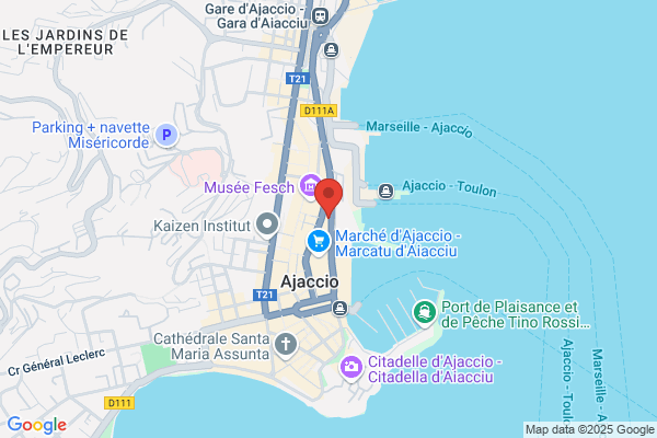Chambre De Commerce Et D Industrie De la Corse Du sud ser