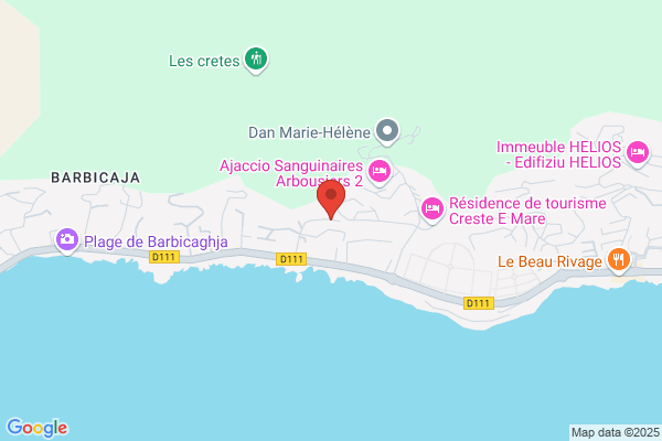 Corse Electricite Generale