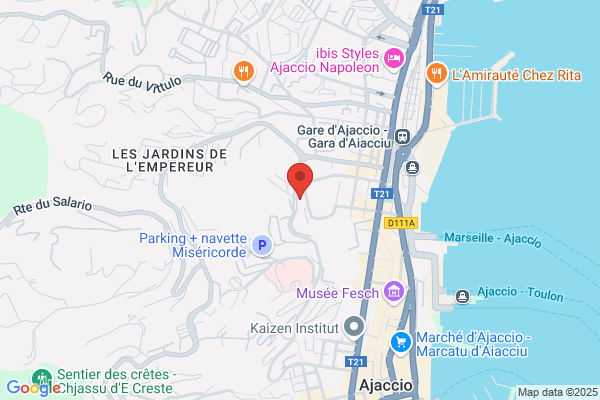 Informatique Professionnelle Corse
