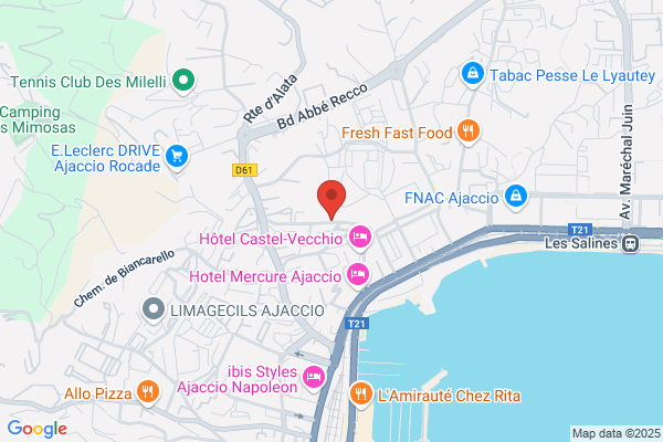 Gfc Ajaccio Omnisports