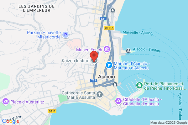Girerd Pierre Ange Endocrinologie