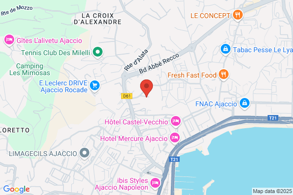 Association Ajaccienne Des Guides Interpretes Pour La corse