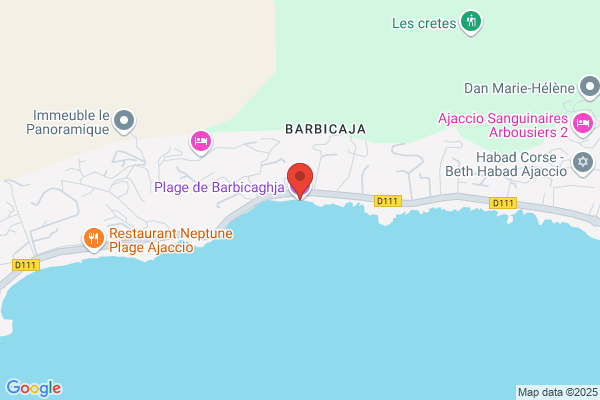 BARBICAJA-ALTA