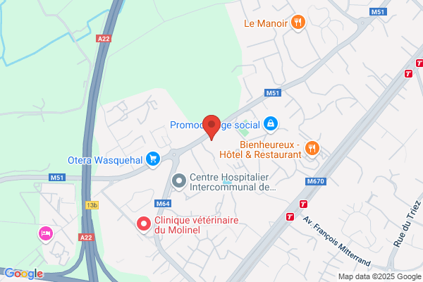 Humanes Scm Conseil