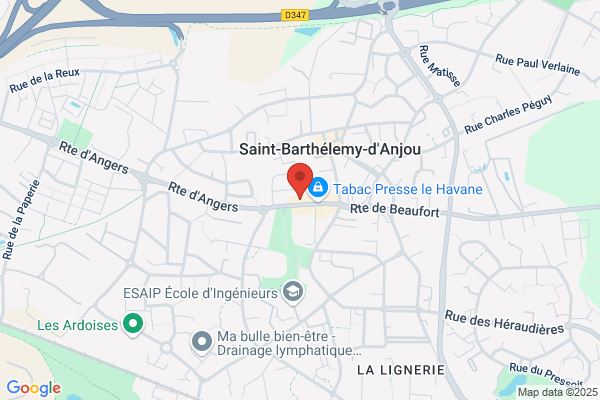 Amplifon Audioprothésiste Saint Barthélémy d'Anjou