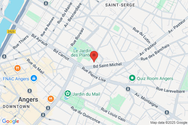 Guillemin Alain Med Psychiatre