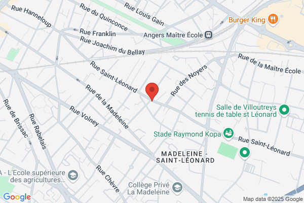 Berthier Philippe Stomatologie