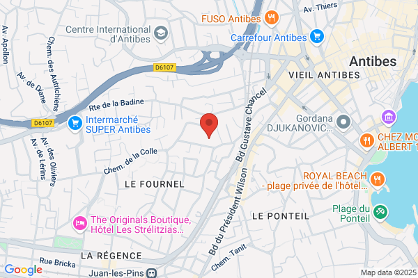 Antipolis Experts Associes
