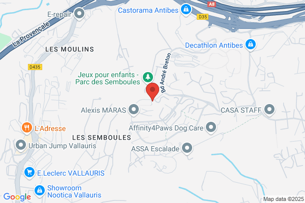 Daemers Yves Et Mathiot Laurent Scm