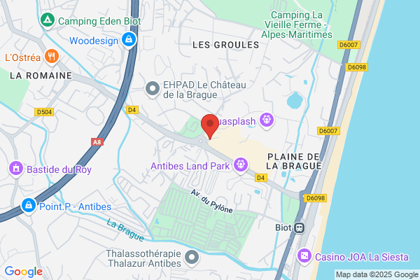 Jungle Des Papillons