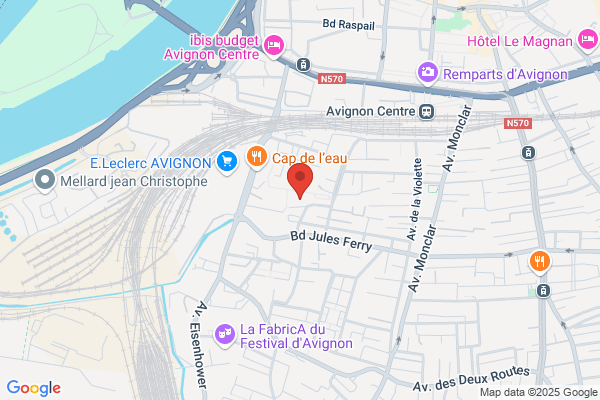 Ant