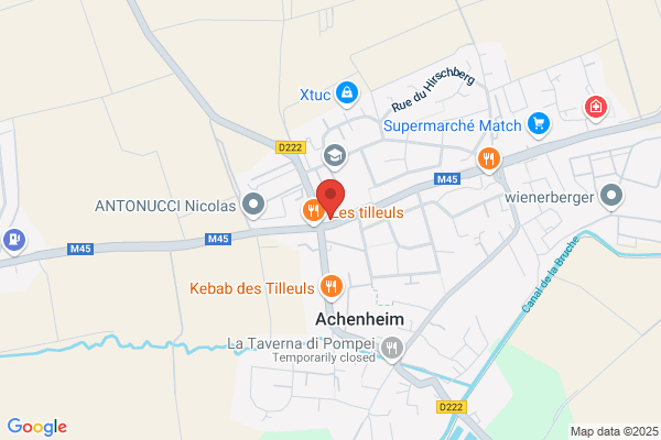 Alcare Impressions