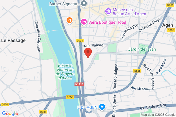 Direction Des Services Veterinaires Standard