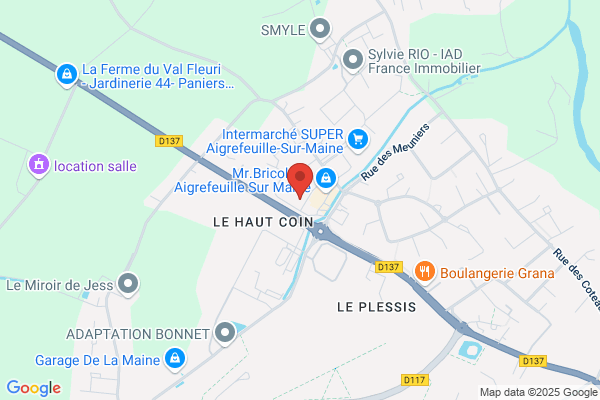 Domino's Aigrefeuille-sur-Maine