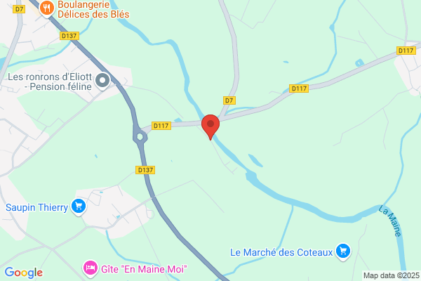 MÉTALLISATION DE LA MAINE
