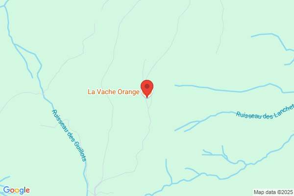 Restaurant La vache orange