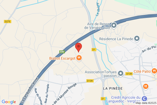 Au Coeur Du Bois