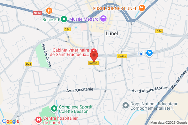 Ace Entreprise