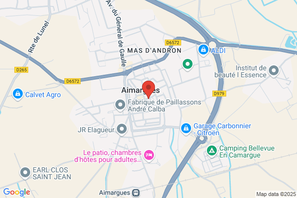 Auto Ecole La Camargue