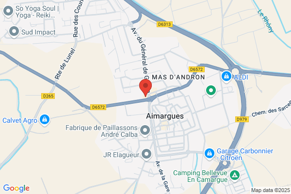 Bar Des Platanes