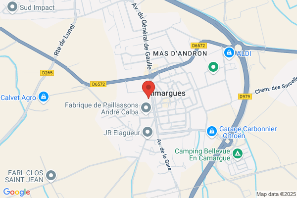 Bel Ange