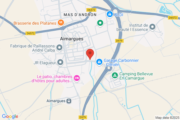 Carbonnier Michel