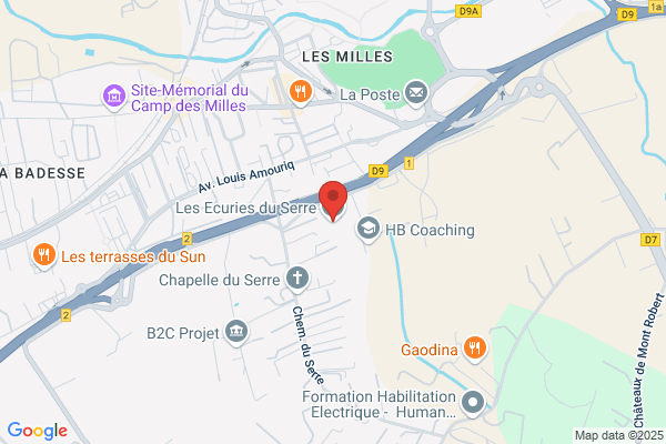 Cavaliers Des Ecuries Des Plantiers