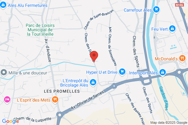 Automobile Club Service
