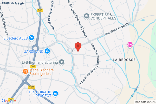 Ales Service Conseil
