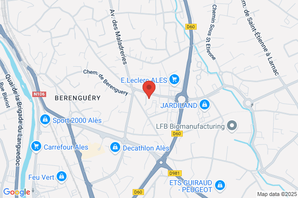 Ifce Ales Alternance