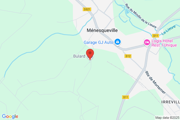 Bulard Michel