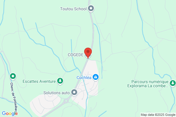Cogede