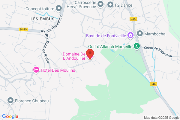 Domaine De L Andouiller