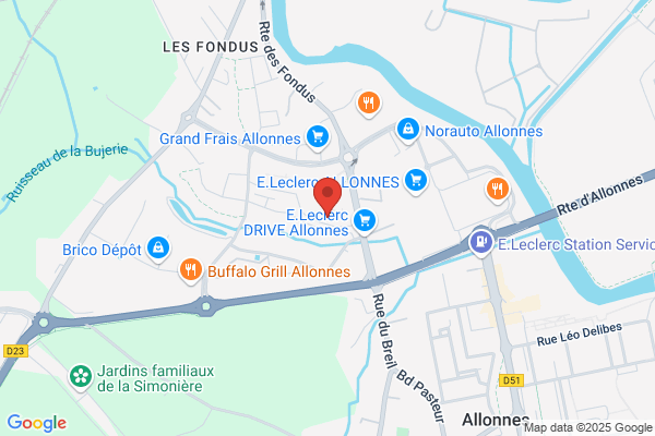 Action Le Mans - Allonnes