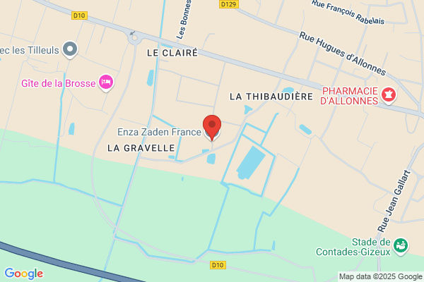 Enza Zaden France Sa Siege Social