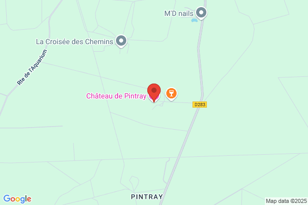 Chateau De Pintray