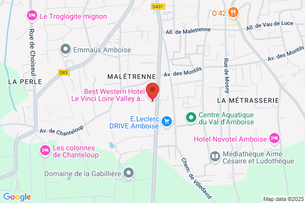 Best Western Le Vinci Loire Valley
