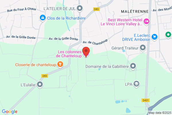 Hotel Le Chanteloup