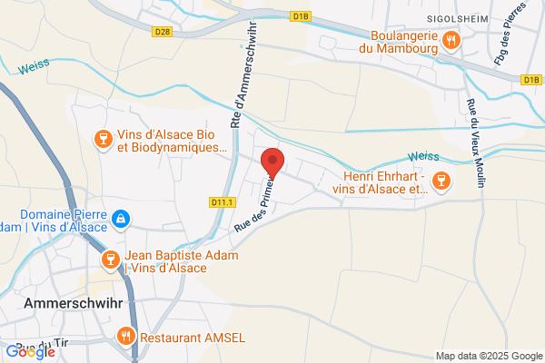 Espace Fitness Des Jardins