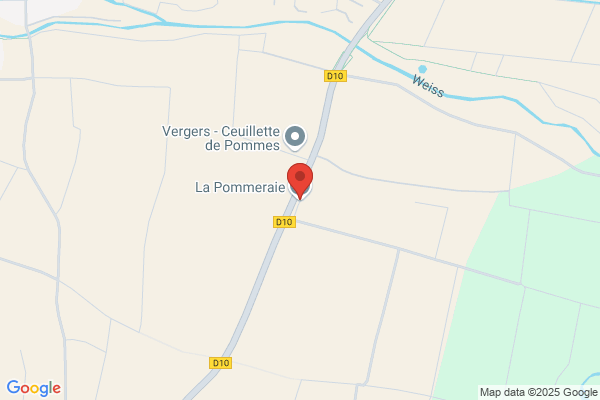 Gsell Maurice Arboriculteur