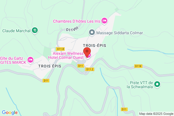 Hotel Restaurant Des Trois Epis