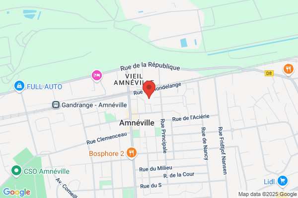 Avenir Gymnastique
