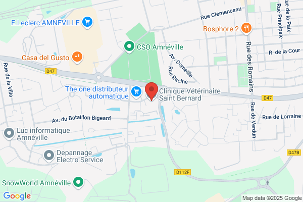 Clinique Veterinaire Saint Bernard