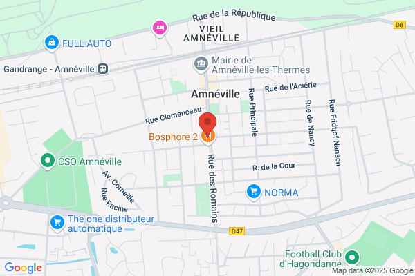 Dalle Brigitte Chirurg Dent