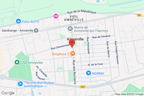 Emilia Institut