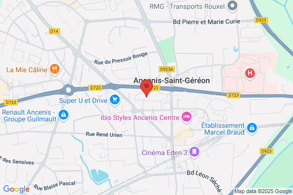 Action Ancenis