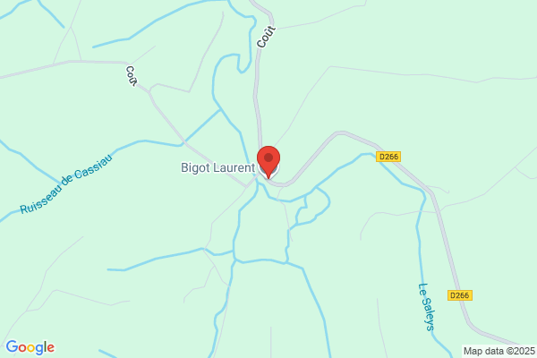 Bigot Laurent