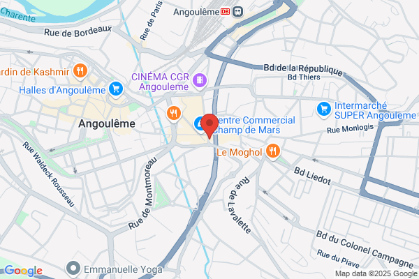 Bourdelle Francis Electromenager
