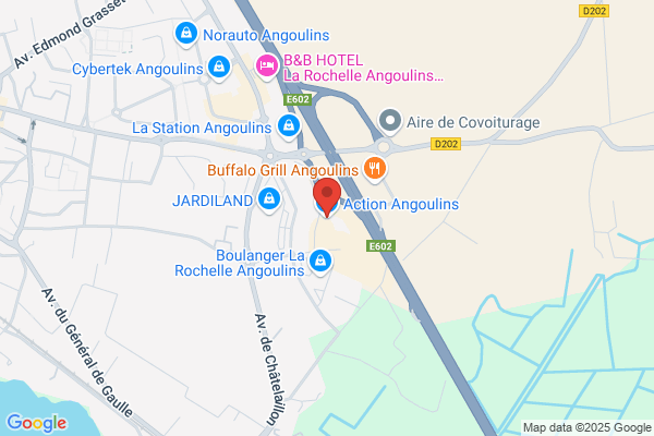 Action Angoulins